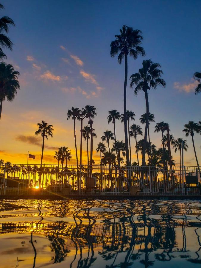 Victoria Palms Inn And Suites Donna Esterno foto