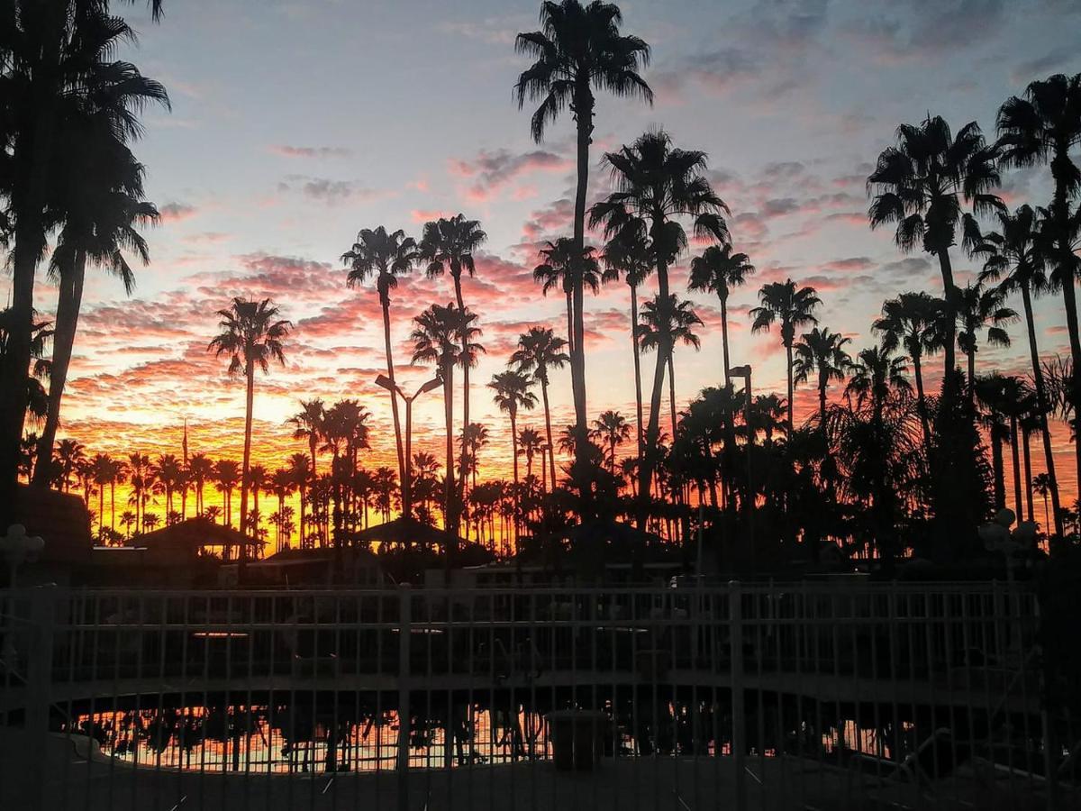 Victoria Palms Inn And Suites Donna Esterno foto