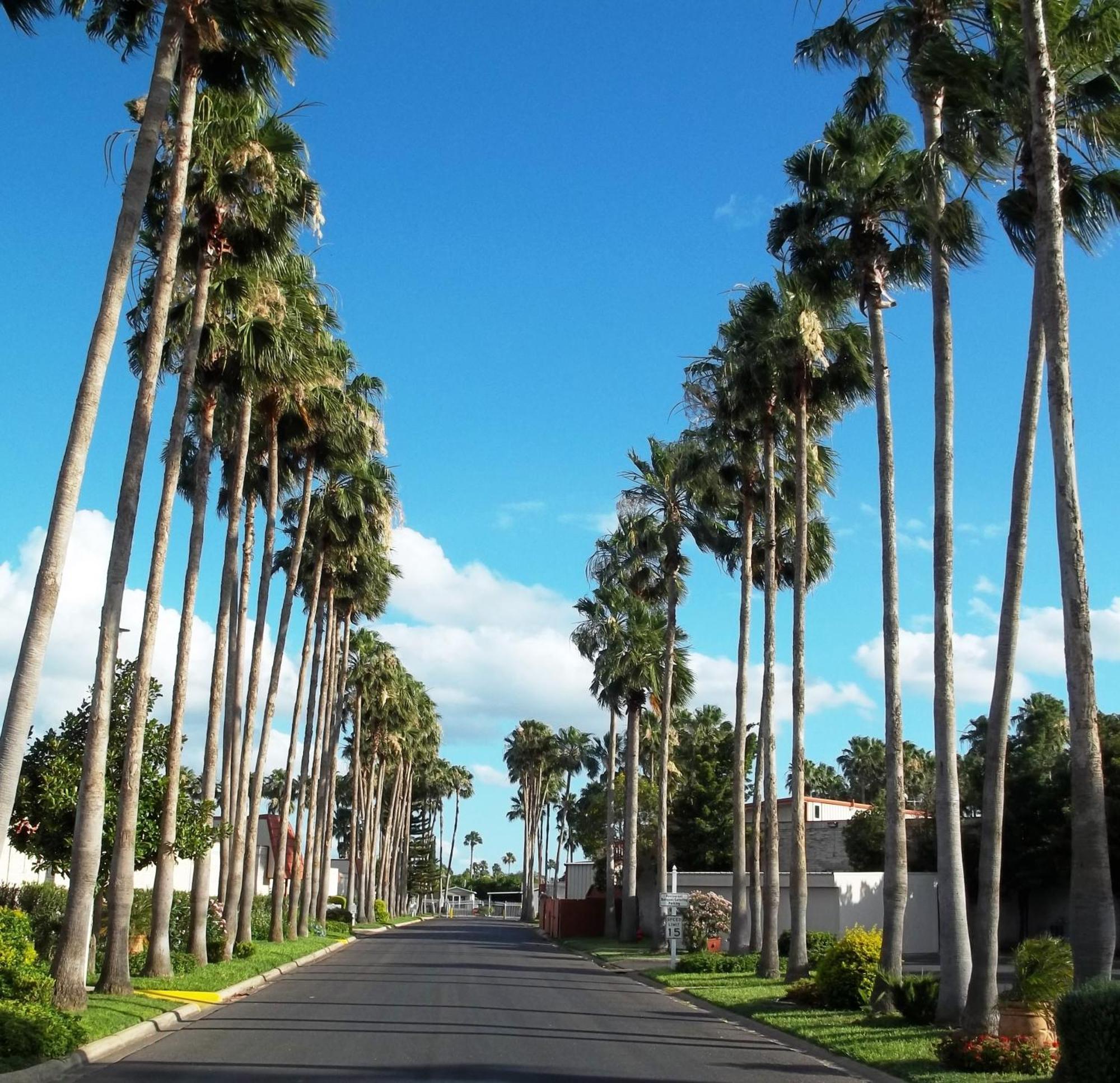 Victoria Palms Inn And Suites Donna Esterno foto